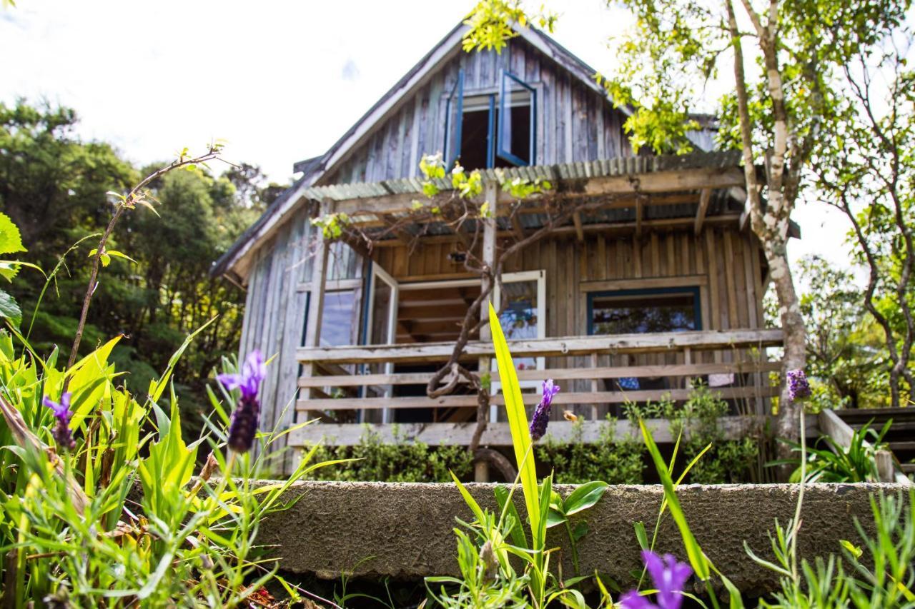 Fern Lodge Coromandel Bagian luar foto