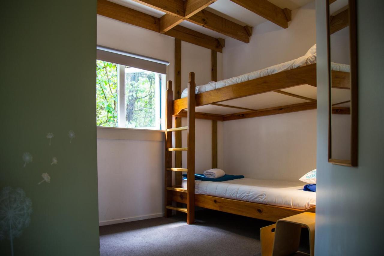 Fern Lodge Coromandel Bagian luar foto